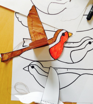 Make Your Own Robin Instructions and Template
