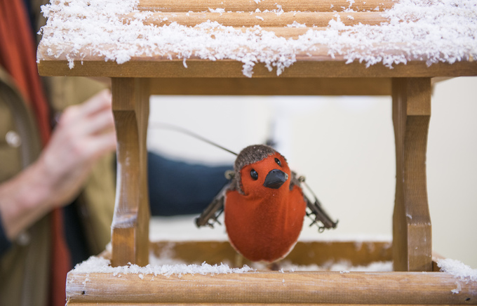 Robin Rehearsal Photos