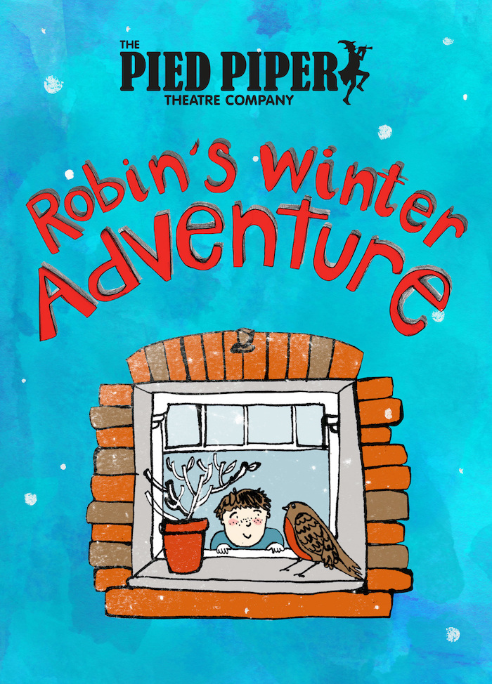 Robin's Winter Adventure