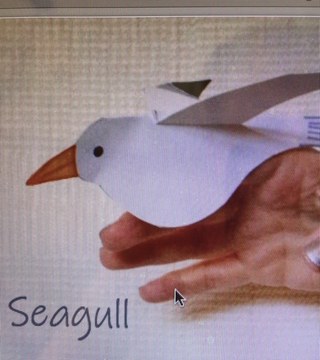 Flapping Seagull